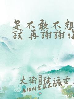 是不敢不想不应该 再谢谢你的爱歌词