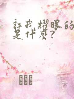 许我耀眼的结局是什么?