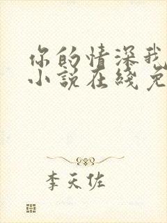 你的情深我不配小说在线免费阅读