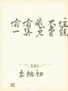 偷偷藏不住第十一集免费观看