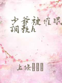 少爷被催眠玩弄调教h