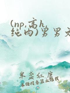 (np,高h,纯肉)男男文