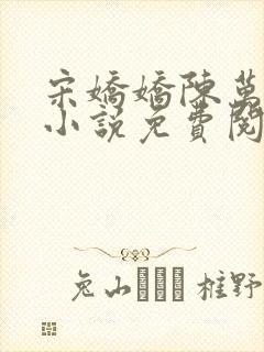 宋娇娇陈万里的小说免费阅读无弹窗