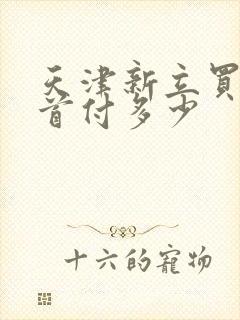 天津新立买房要首付多少