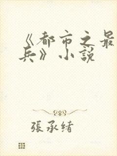 《都市之最强狂兵》小说