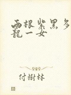 两根紫黑多男双龙一女