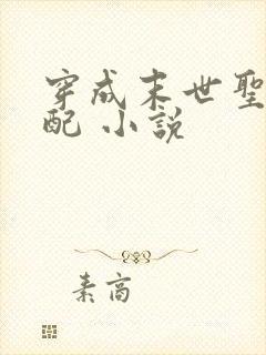 穿成末世圣母女配 小说