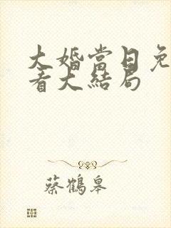 大婚当日免费观看大结局