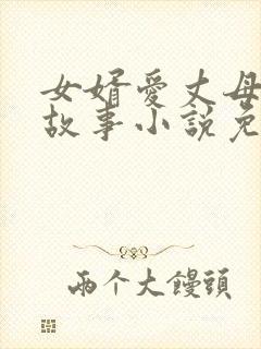 女婿爱丈母娘的故事小说免费阅读