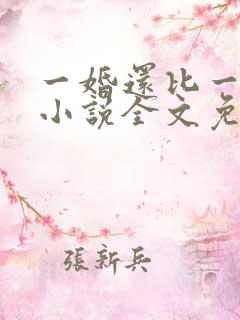 一婚还比一婚高小说全文免费阅读