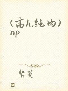 (高h,纯肉)np