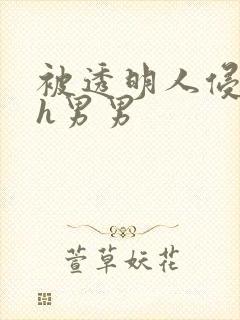 被透明人侵犯高h男男