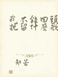 我不能回头不能挽留什么歌