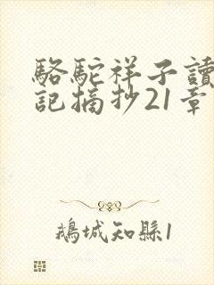 骆驼祥子读书笔记摘抄21章