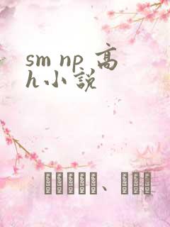sm np 高h小说
