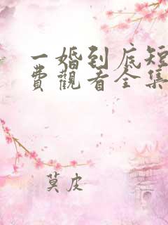 一婚到底短剧免费观看全集高清