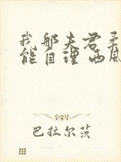 我那夫君柔弱不能自理 西风锦