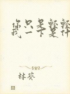 你只是轻轻爱了我一下是什么歌