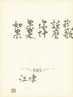 如果你说我说如果是什么歌的歌词