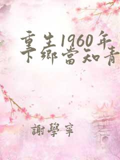 重生1960年下乡当知青的小说