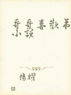 哥哥喜欢弟弟的小说