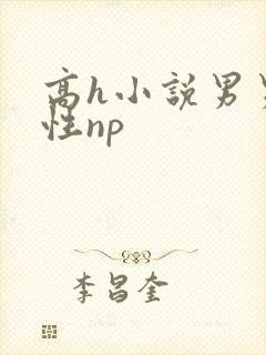 高h小说男男双性np