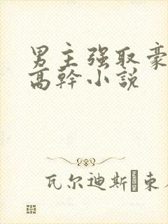 男主强取豪夺的高干小说