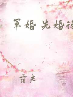 军婚 先婚后爱
