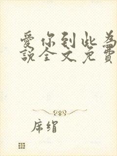 爱你到此为止小说全文免费阅读