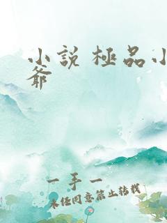 小说 极品小侯爷