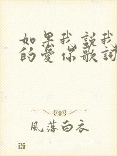 如果我说我是真的爱你歌词