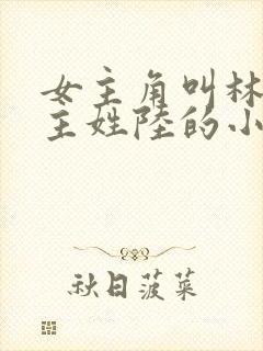 女主角叫林夏男主姓陆的小说