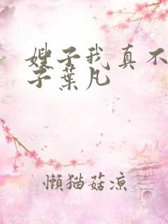 嫂子我真不是傻子叶凡