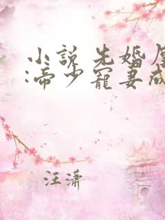 小说 先婚厚爱:帝少宠妻成瘾