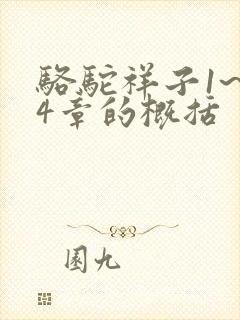 骆驼祥子1~24章的概括