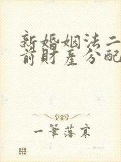 新婚姻法二婚婚前财产分配