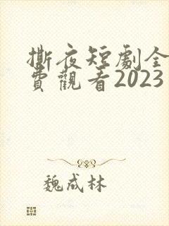 撕夜短剧全集免费观看2023年上映