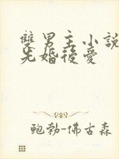 双男主小说推荐先婚后爱