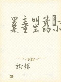 男主叫萧玦女主是重生的小说