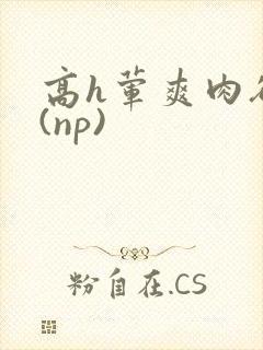 高h荤爽肉欲文(np)