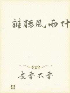 谁听风雨什么歌