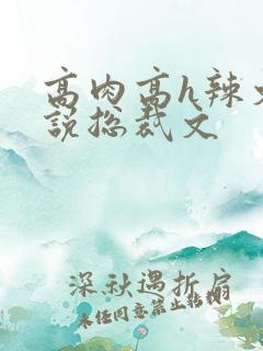 高肉高h辣文小说总裁文