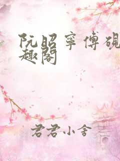 阮昭宁傅砚舟笔趣阁