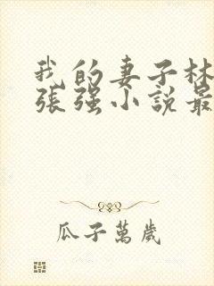 我的妻子林慧茹张强小说最新章节阅读