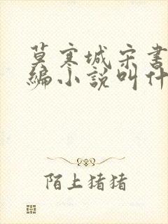 莫寒城宋书桐改编小说叫什么