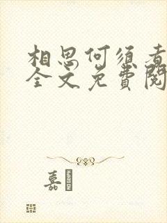 相思何须煮余年全文免费阅读