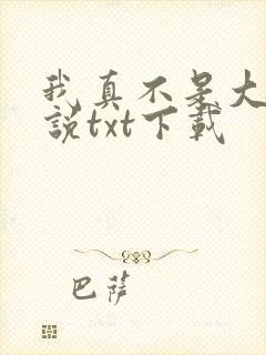 我真不是大佬小说txt下载