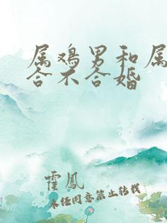 属鸡男和属虎女合不合婚