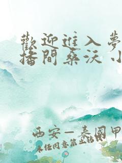 欢迎进入梦魇直播间桑沃 小说