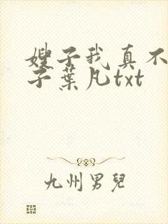 嫂子我真不是傻子叶凡txt